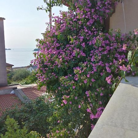 Aparthotel Luna Tsuki Seven à Rovinj Extérieur photo