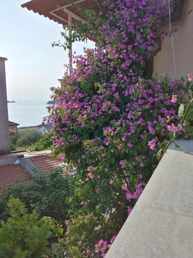 Aparthotel Luna Tsuki Seven à Rovinj Extérieur photo