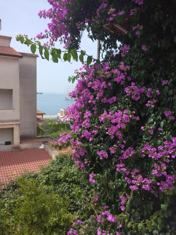 Aparthotel Luna Tsuki Seven à Rovinj Extérieur photo